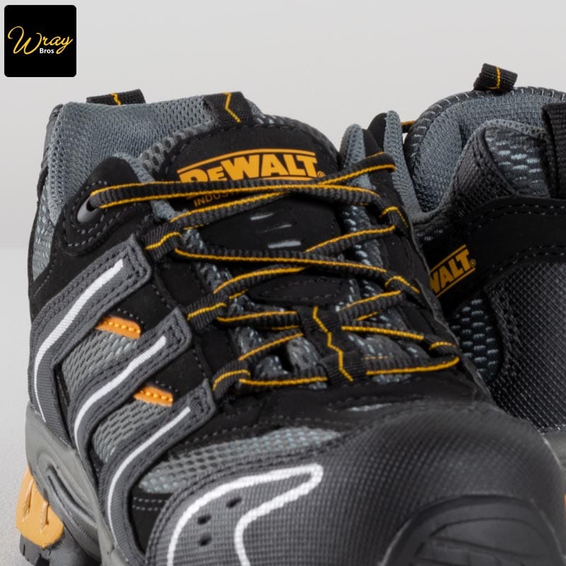 Dewalt hot sale safety trainer