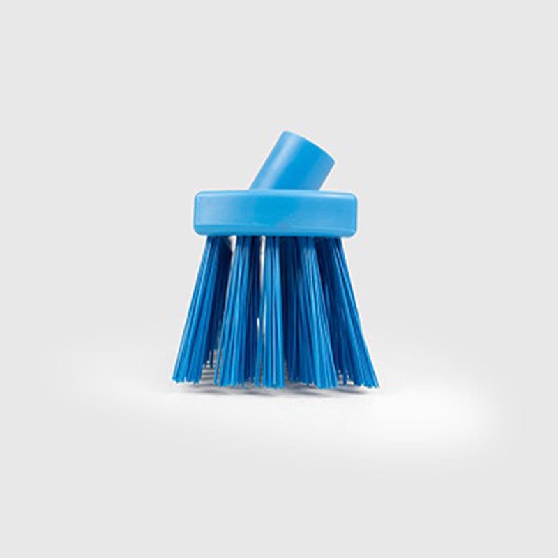 eco friendly stiff cleaning brush