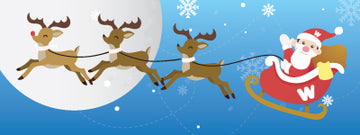 willy christmas banner mobile